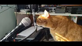 Live Shortwave radio stream Saturday November 22nd 2025