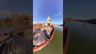 Roboworm for the W! #viralshort #viral #trendingshorts #trending #bass #fishing #roboworm