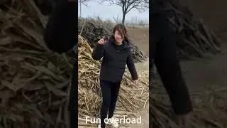 Best Funny Video #2 || #funoverload || #2024