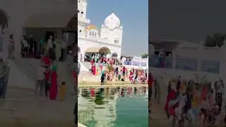 Billo Tara jatt diya jazzyb WhatsApp instagram trending status