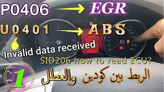 الربط بين كودين لتحديد العطل 🤔U0401 ABS Can Bus P0406 EGR how to read Ktag SID206 ECU Ford Galaxy