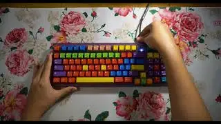HBCP by Hineybush [1800 Compact, Mauve Switches]