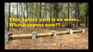 Lost access to an Apiary yard.  What next? (Georgia Beekeeping)