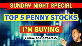 Top 5 Penny Stocks to Buy Now!? | BNGO WRAP NAT DPW RWLK Stock Chart Technical Analysis!