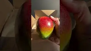 Ultimate Tropical Fruit Unboxing 🍍🥭 | A Foodie&rsquo;s First Taste!