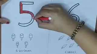 Let's Learn the numbers 5 & 6 with their quantification😃#learning #drawingideas #artandcraft #art