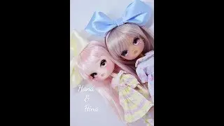 Unboxing Adopted Dal Dolls - Maltinic & Mocha MIO