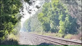 Amtrak Silver Meteor With Friendly Engineer Doing 79MPH
