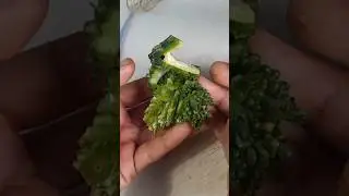 Salad Plate Design #Shorts #bittergourd #trending