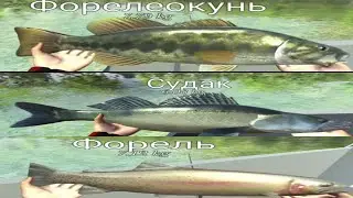Ловим рыбу на спиннинг с лодки! | 《Ultimate Fishing Simulator》
