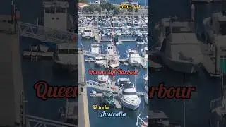 Queenscliff Harbour - Fleur E Art