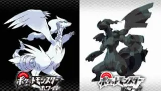 Pokemon Black & White - Chargestone Cave