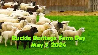 Ruckle Park Heritage Farm Day May 5, 2024