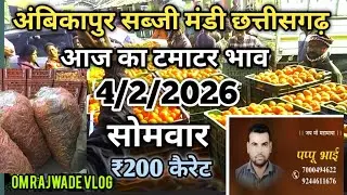 अंबिकापुर सब्जी मंडी || आज का टमाटर भाव || 4/2/2026 || Ambikapur sabji mandi #ambikapur #surajpur