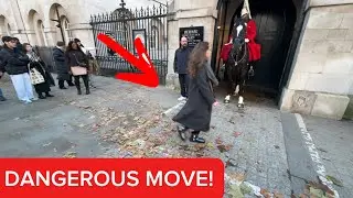 She Ran Through the White Box… The Horse Guard Didn’t Like It