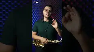 Qual palheta usar na orquestra ?