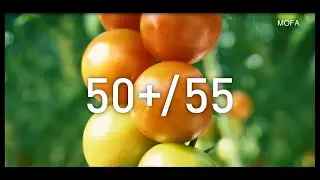 Japan&rsquo;s Initiatives to Secure its Food Safety