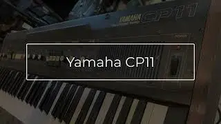Yamaha CP11 Demo