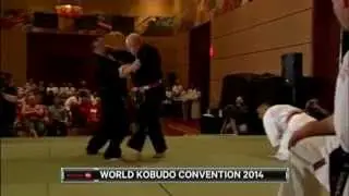 Ottawa WFK 2014 kata team goshindo 45