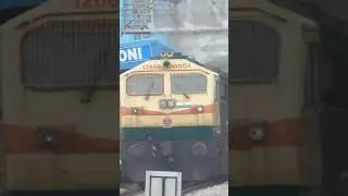 Twin Electro Motive Diesels with BTPN Freight #train