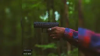 SHARK BREACH X FONY WALLACE - BACK DEN (OFFICIAL VIDEO)