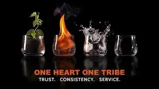 Divine Transmissions: Trust, Consistency & Service