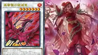 FINALLY A PLANT&hellip; Rose Dragon