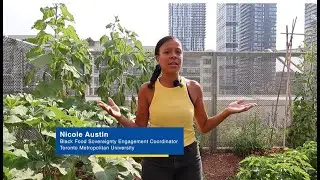 CSFS Researcher Spotlight: Nicole Austin (trailer)