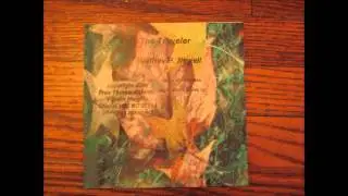 free thinkers union- the traveler song 9- send it
