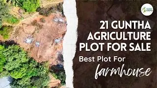 🌴 Premium 21 Guntha Agricultural Plot for Sale | Dhamani, Sangmeshwar🌴#konkanrealestate #realestate