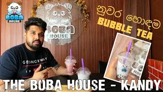 First Vacation Vlog in Sri Lanka | New Flavor 