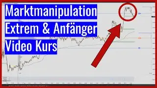 Marktmanipulation Extrem & Anf&auml;nger Video Kurs