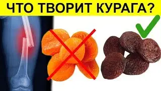 Курага каждый день. Чем полезна курага?