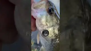 Keep fishing never stop by kingAustin117