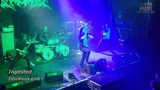 Ingested - Invidious Live || Geiselwind 2023