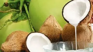 WOOOW&hellip; INI MANFAAT MINUM SANTAN KELAPA YANG MENCENGANGKAN