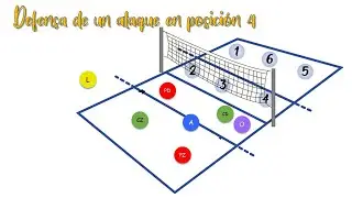 Rotación en vóley / falta de posición  / defender y atacar