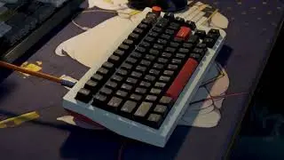 James Donkey A3 | KTT Kang White | Polycarbonate Plate | Sound Test