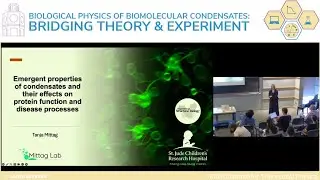 Emergent properties of condensates and their effects on protein function.. | Tanja Mittag (St. Jude)