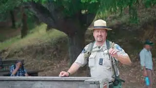 Reimagine Mt. Tam - Annabel Heinemann