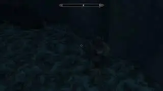 Skyrim