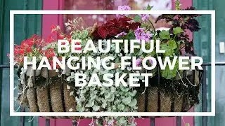 How To Plant Beautiful Hanging Flower Baskets!