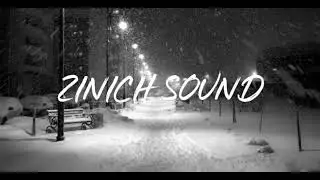 Human And Zombie - Zinich Sound
