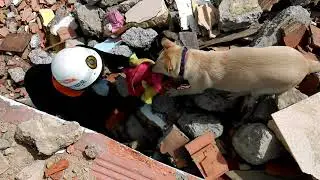 VIDEO0028.mp4