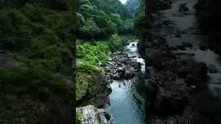 Hatonosu 🗾