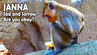 SADNESS TIME, What happen and Why little monkey Janna look very sad and sorrow alone here