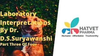 Hatvet's Webinar On Small Animal Laboratory Interpretations - Part 3 (Edited Version)