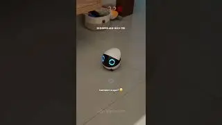 ID SHOPEE: ALH-WXV-TEK ou link do rob&ocirc; na bio do canal 😂