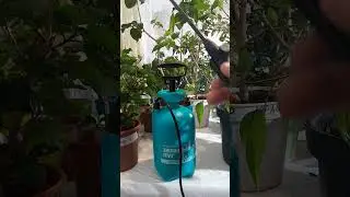 Indoor Plant Sprayer from Garden Sprayer #plants