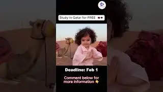 Study in Qatar for FREE 🇶🇦 #qatar #scholarship #studyabroad